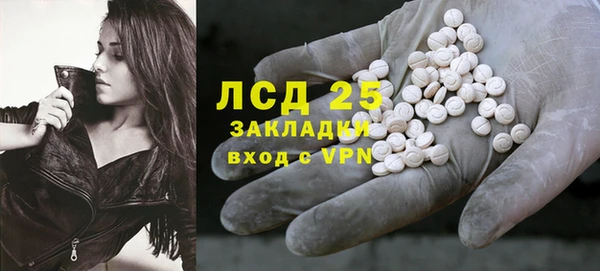 гидра Чегем