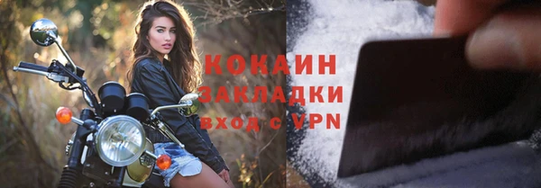 гидра Чегем