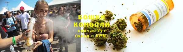 прущие грибы Чекалин