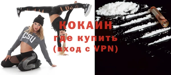 гидра Чегем