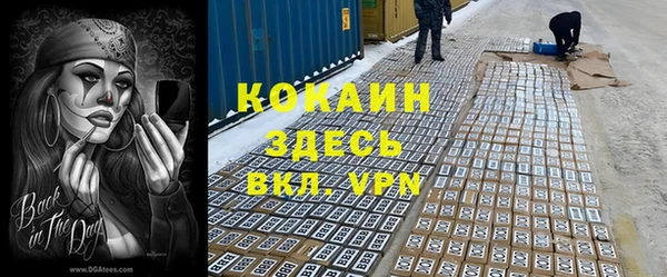 гидра Чегем