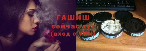 гидра Чегем