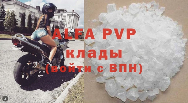 прущие грибы Чекалин