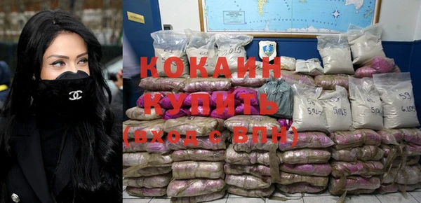 прущие грибы Чекалин