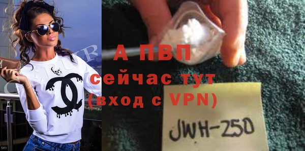 прущие грибы Чекалин